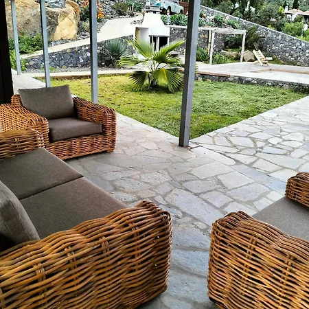 Finca Nexus *